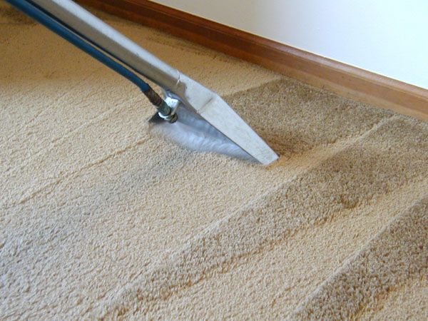 How to clean carpet the right way