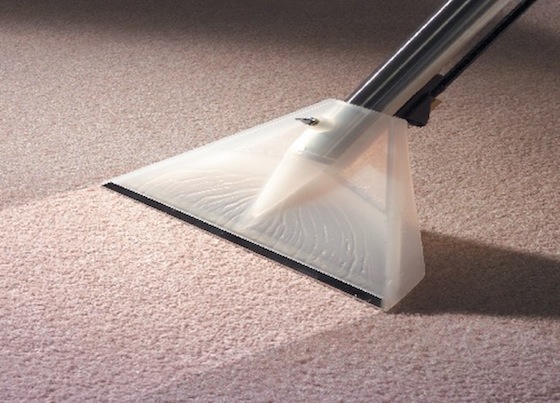 Carpet Cleaning tendencies